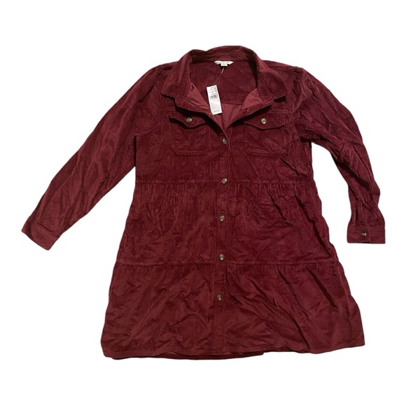 AEO Corduroy Button Down Shirt Dress - Picture 2 of 2